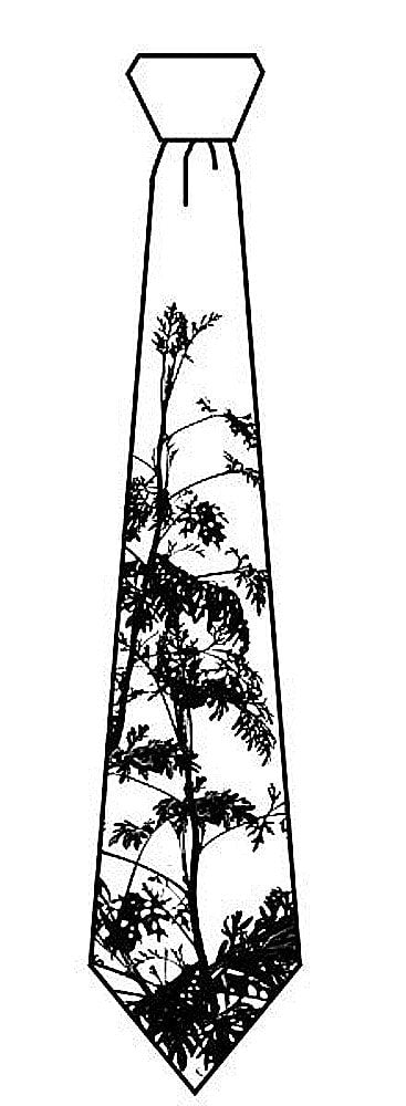 Whit Botanical Silk Tie — view 3